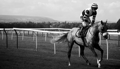 无广告弹窗的轰炸网页版