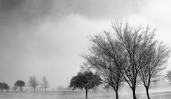 激活服务平台的轰炸网页版
